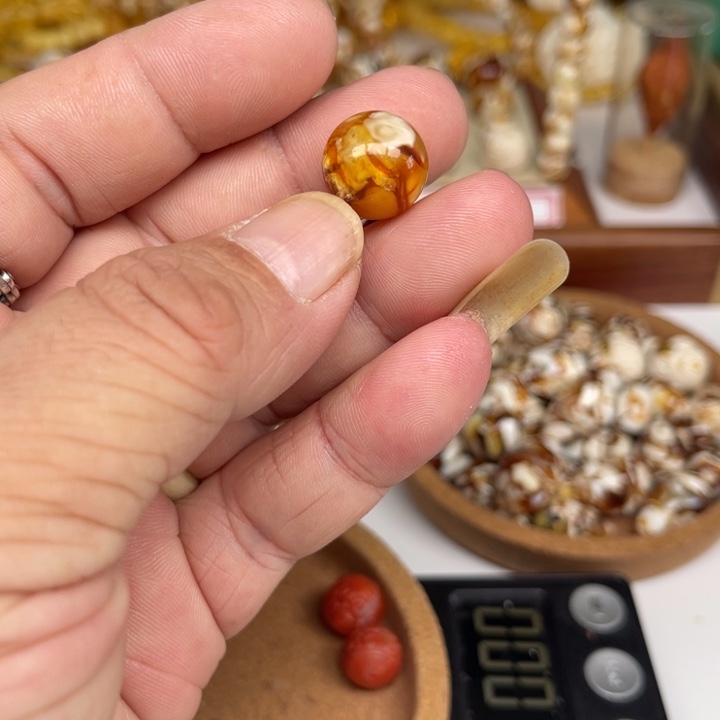 琥珀裸石未镶嵌67个