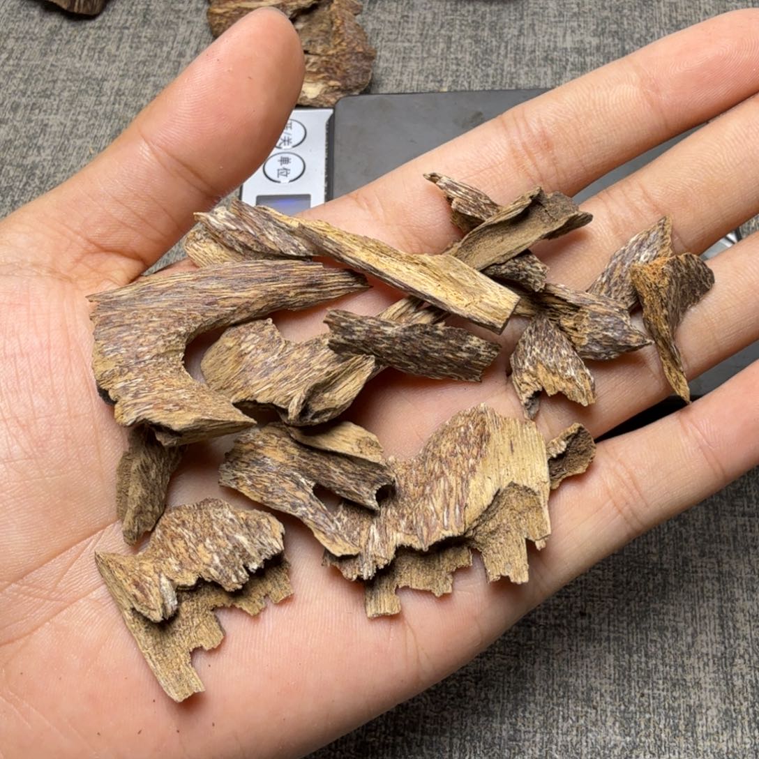 香榧木海南大山鸡母鸡8.1克