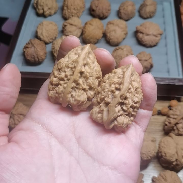 官帽一根筋8888888