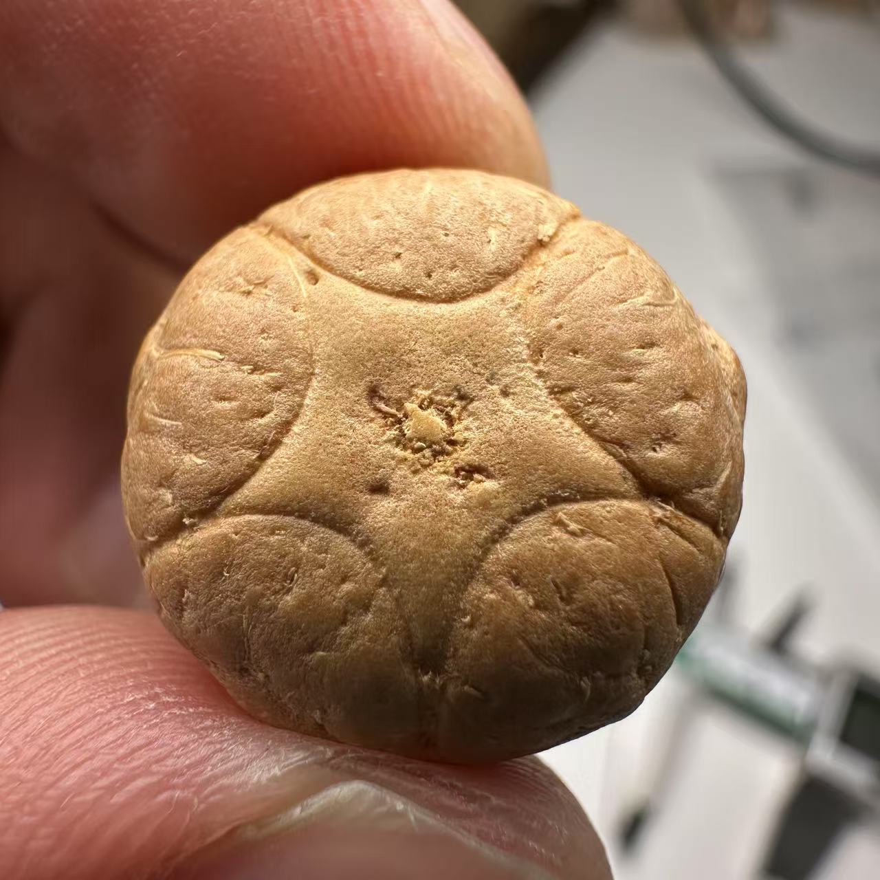 尼泊尔五星菩提，尺寸19，sss系列，货号97