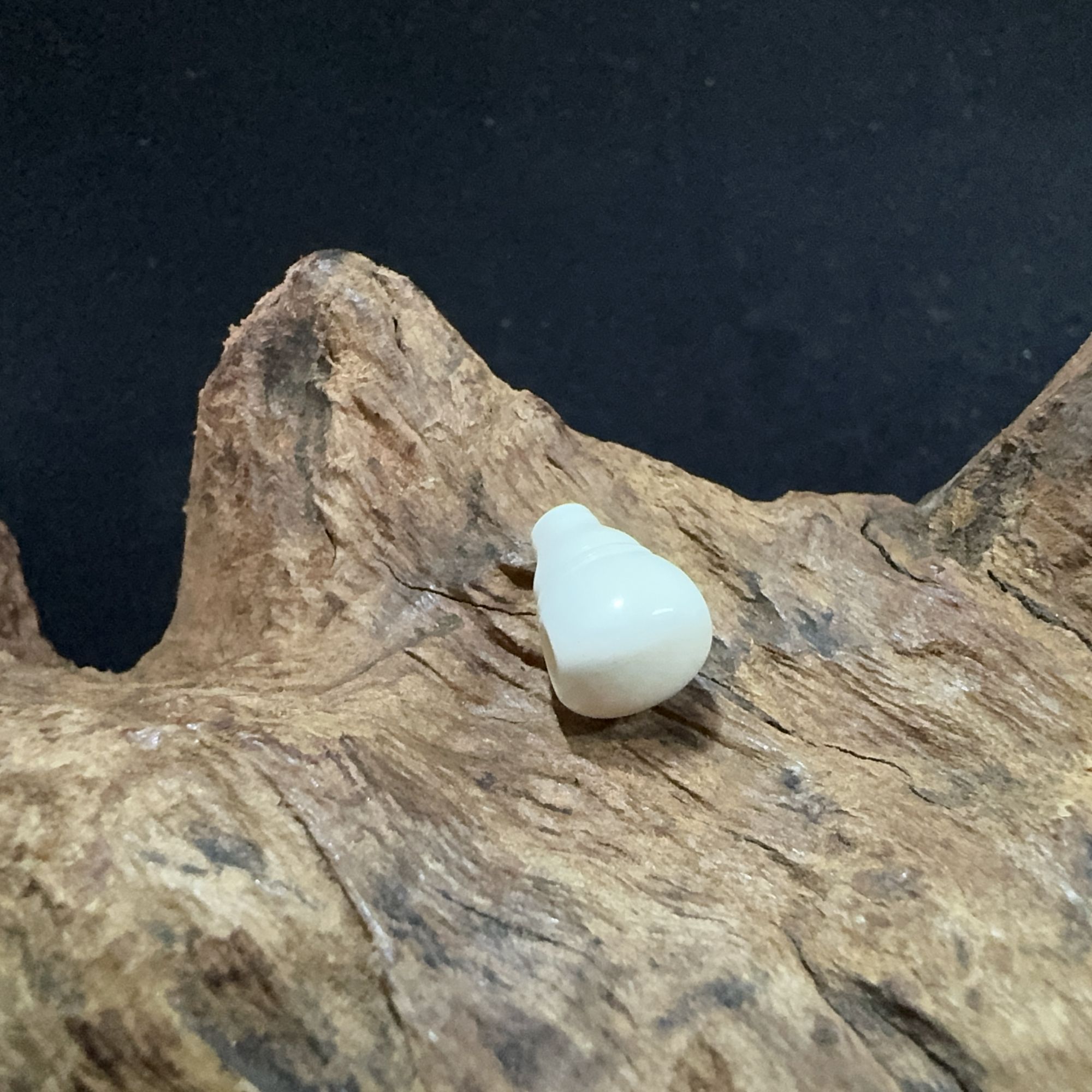 猛犸牙三通雕刻配件（大）