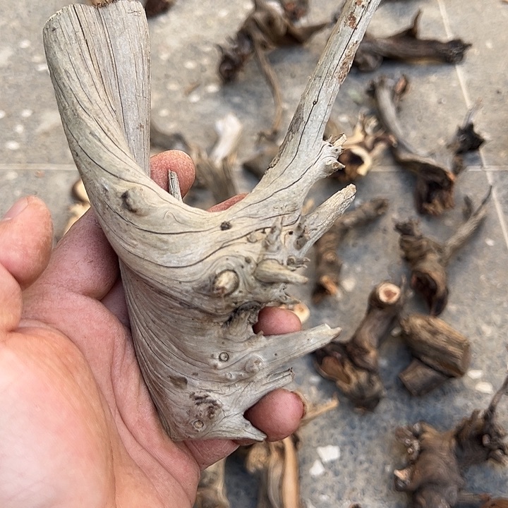 大叶紫檀（黑酸枝木类）黑***队