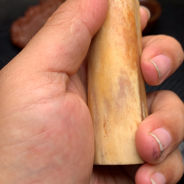 大果紫檀（缅甸花梨）