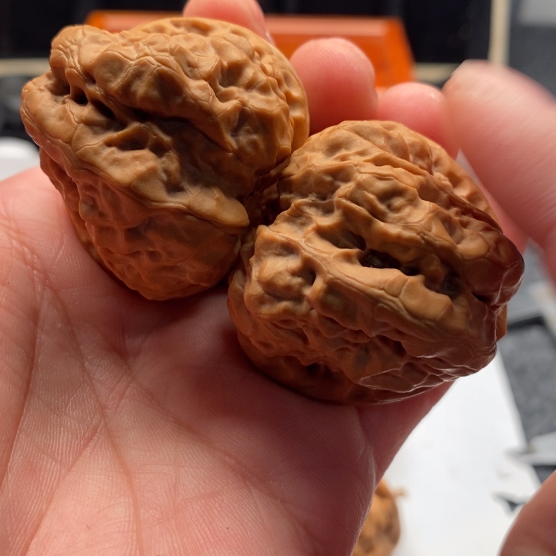 黑***林好的我真的是太喜欢了一