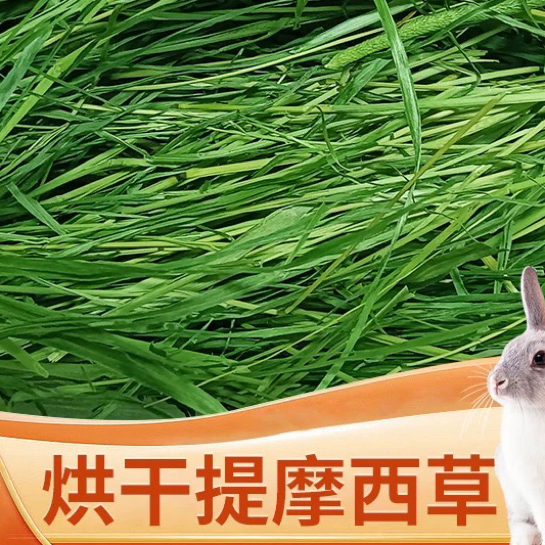 新牧草烘干提摩西草兔子荷兰猪龙猫食用干提草草料兔粮饲料磨牙