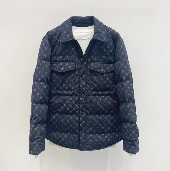 时尚羽绒服男 4210