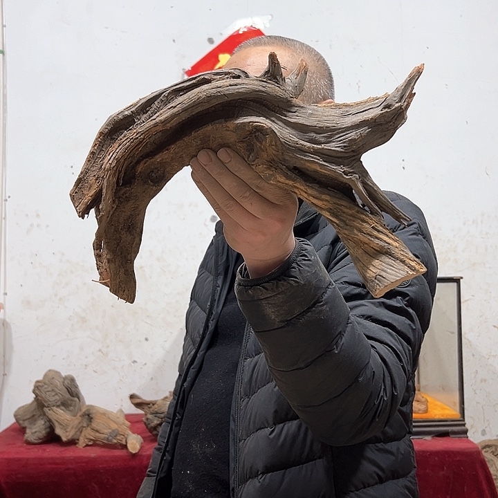 柏木q*我们的生活是以自己为