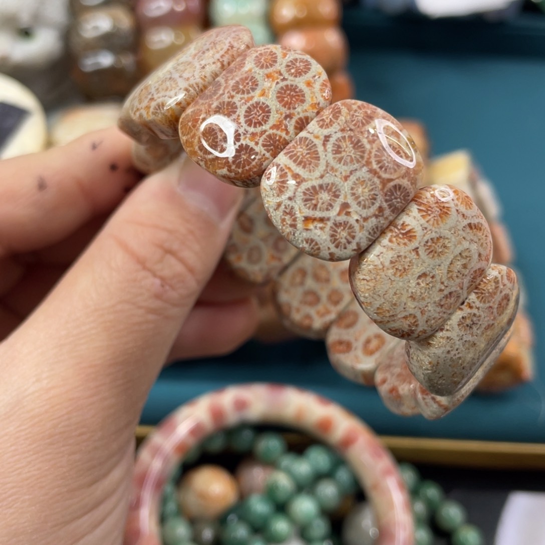 未镶嵌手镯硅化玉