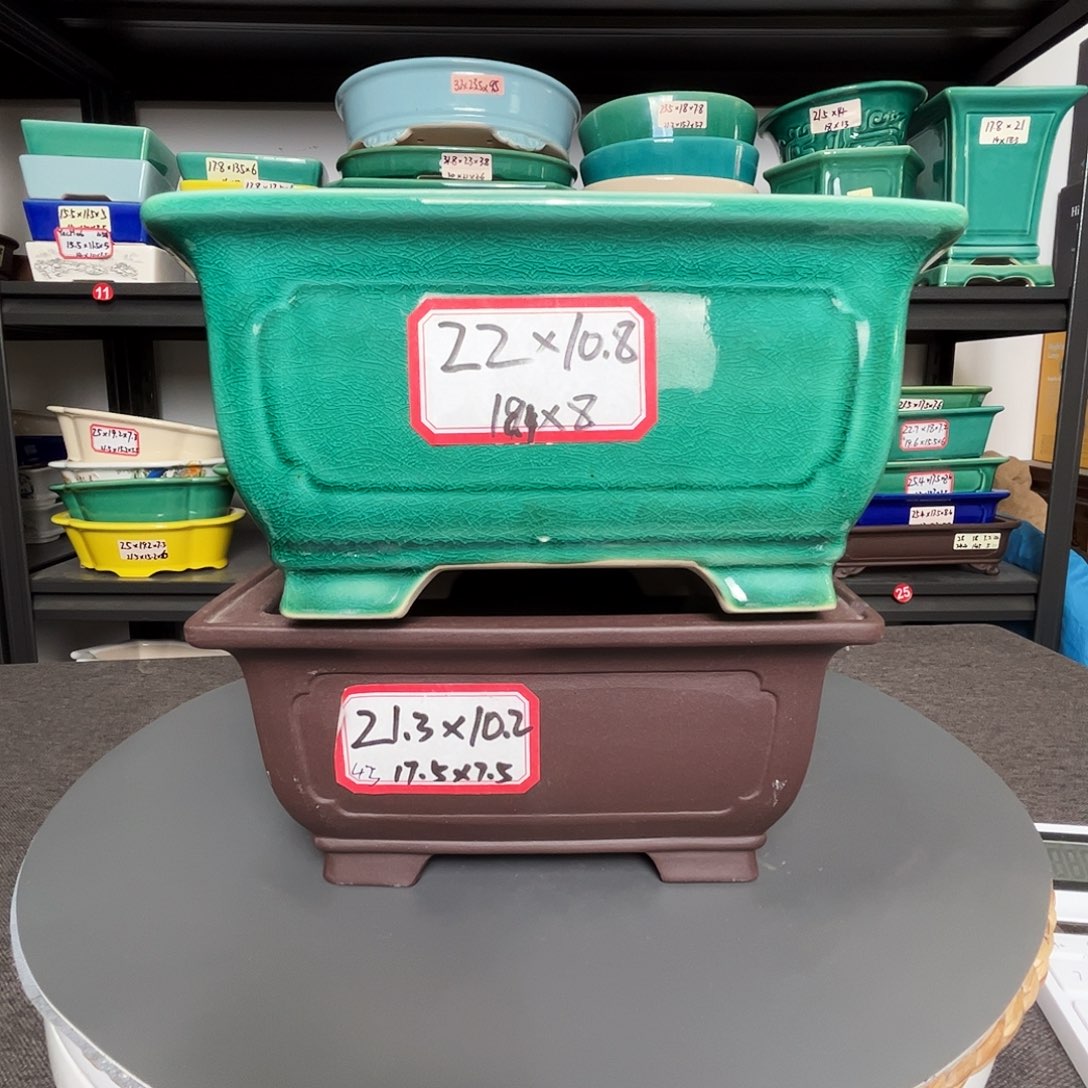 紫砂一起比她漂亮了