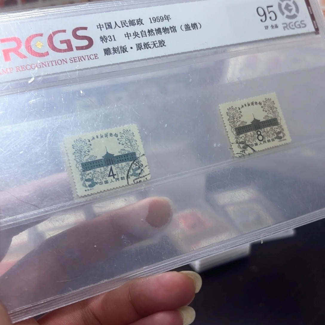 特31邮票套票盖销一套