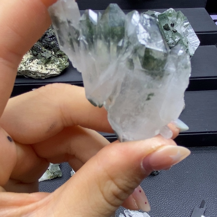 有机玻璃绿绿绿绿117