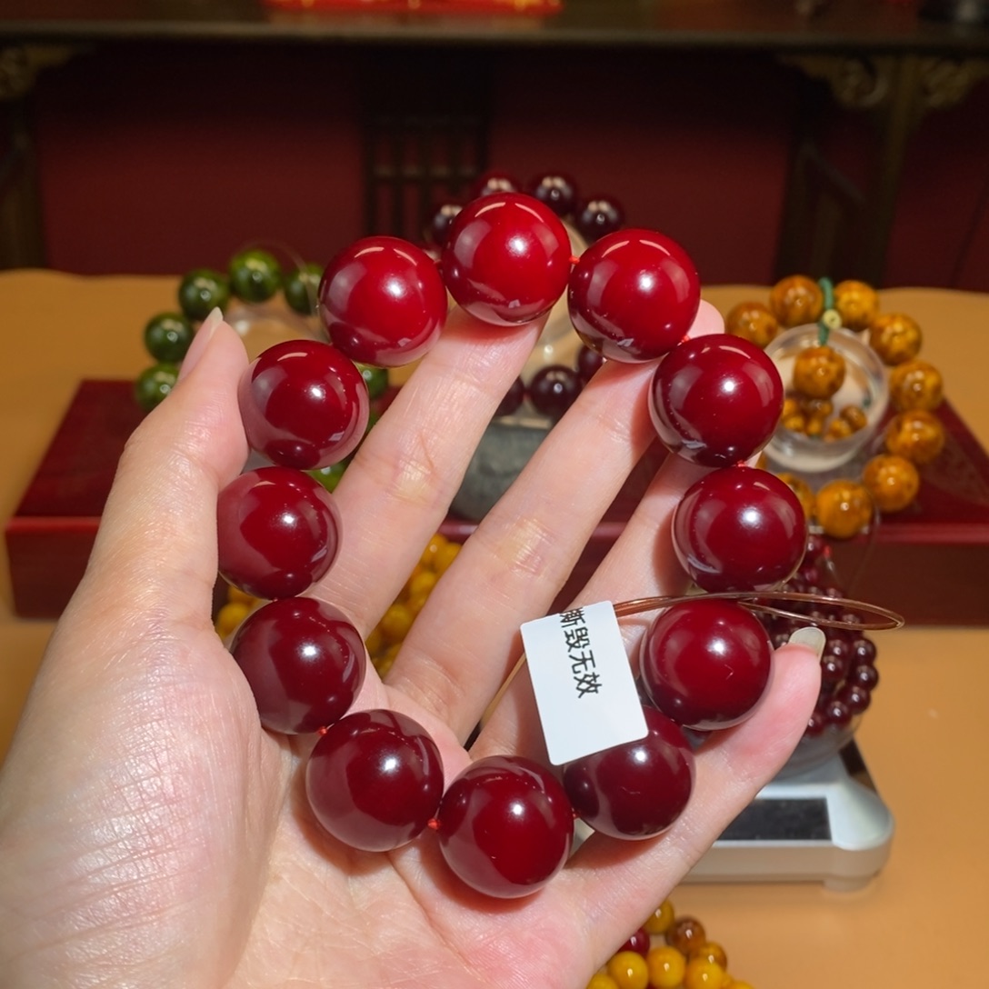 贝壳杉2.0 帝王血龙木千年高货