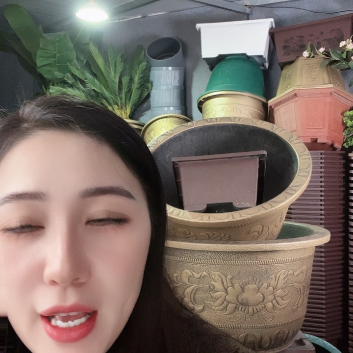 圆70口径花盆两个