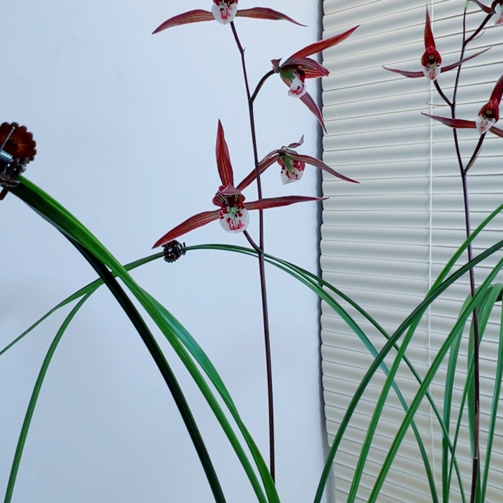 人***梦完全开放一物一拍