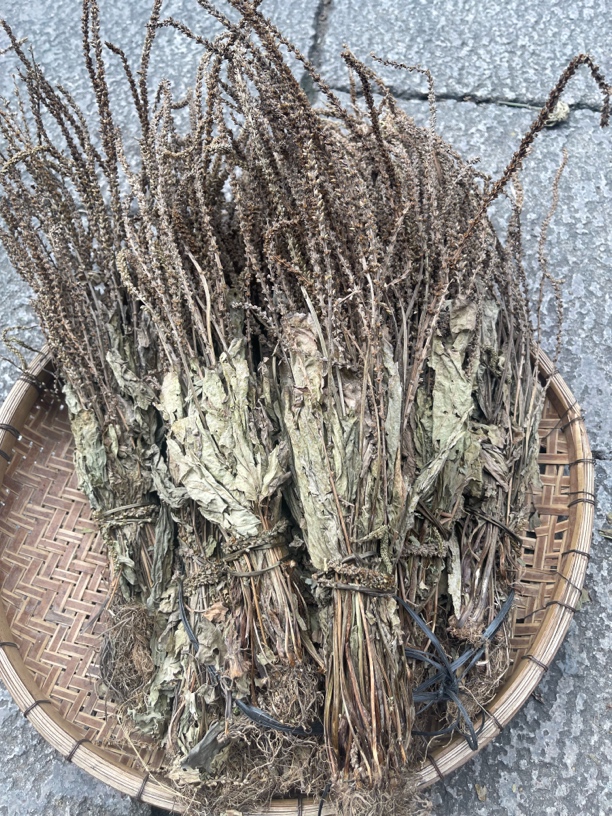 野生 车前草 可泡水的中草药 整颗干货