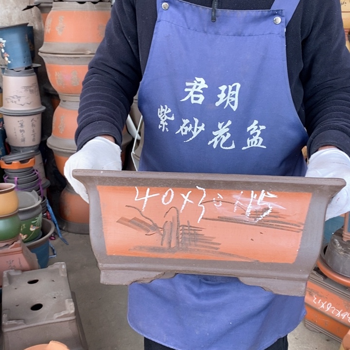 紫砂花盆盆栽花卉苗木种植