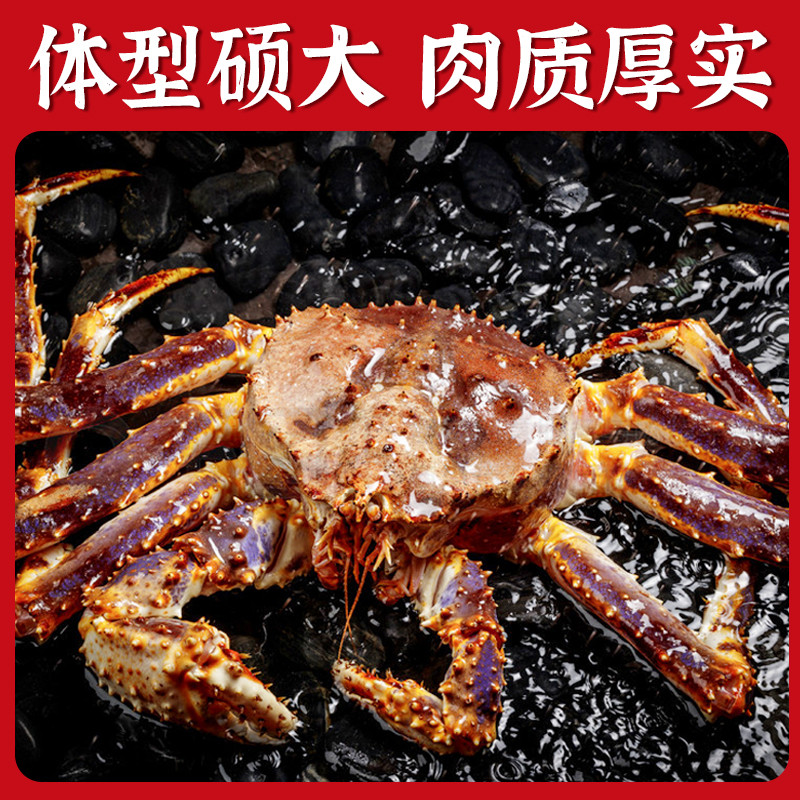 俄罗斯帝王蟹 生冻保鲜锁鲜帝王蟹整只