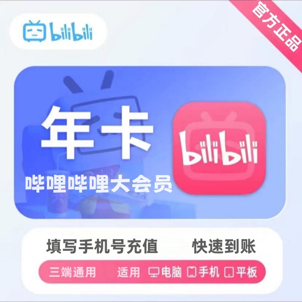 哔.哩哔.哩大会员一年 biIibiIi B站大会员1年 12个月 一次性到账