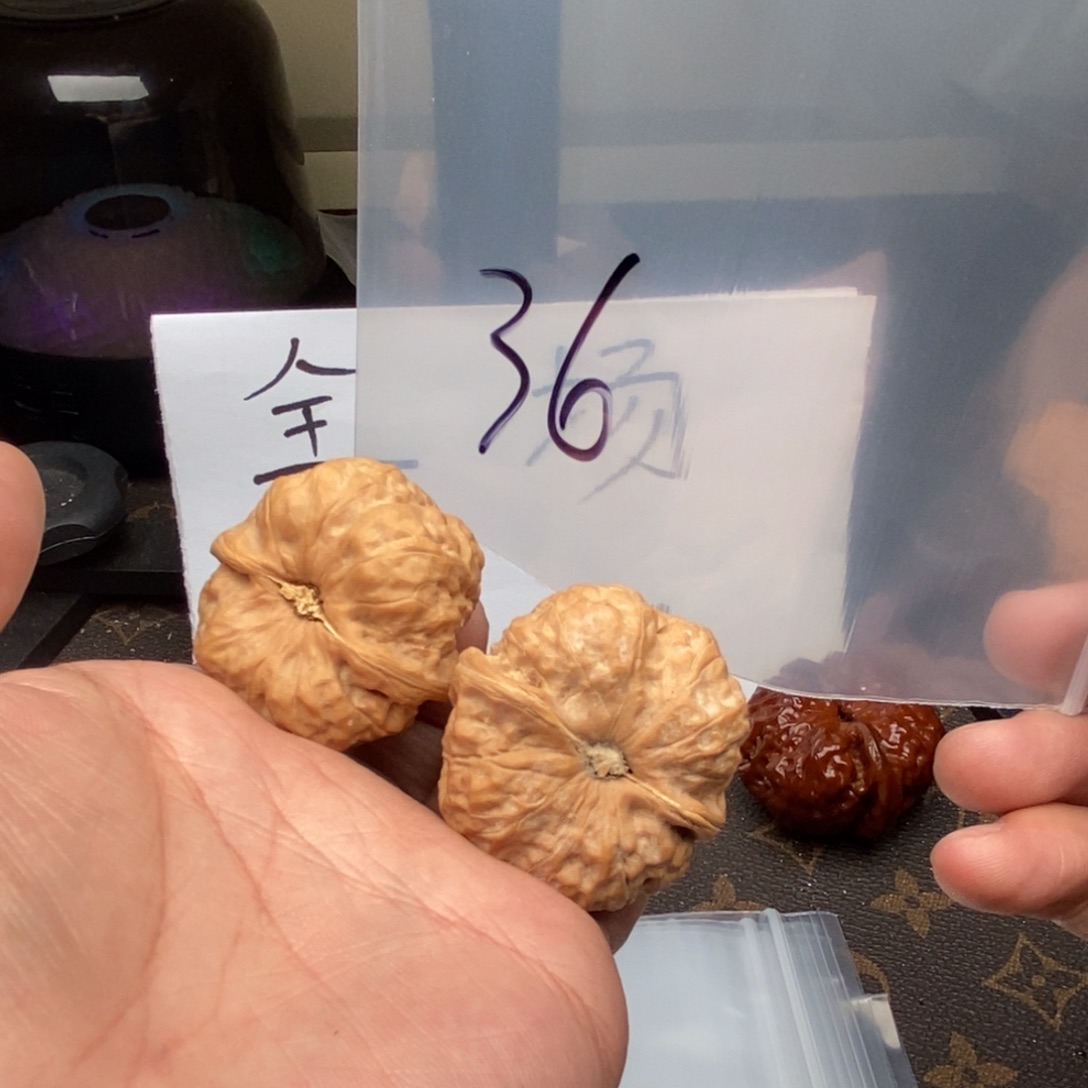 W649683638947964497794