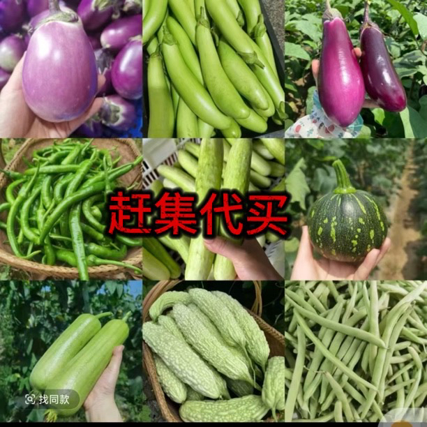 赶集代购 农村农产品