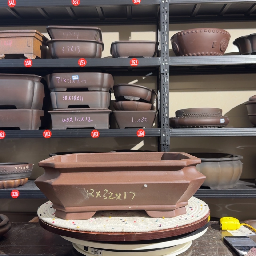 紫砂呜呜呜我的宝呜呜我好喜欢这个