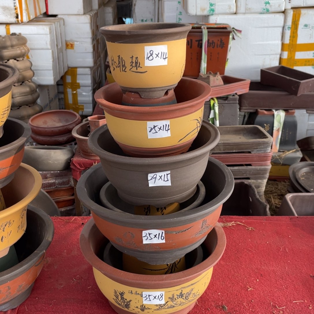 紫砂五号 一组五支