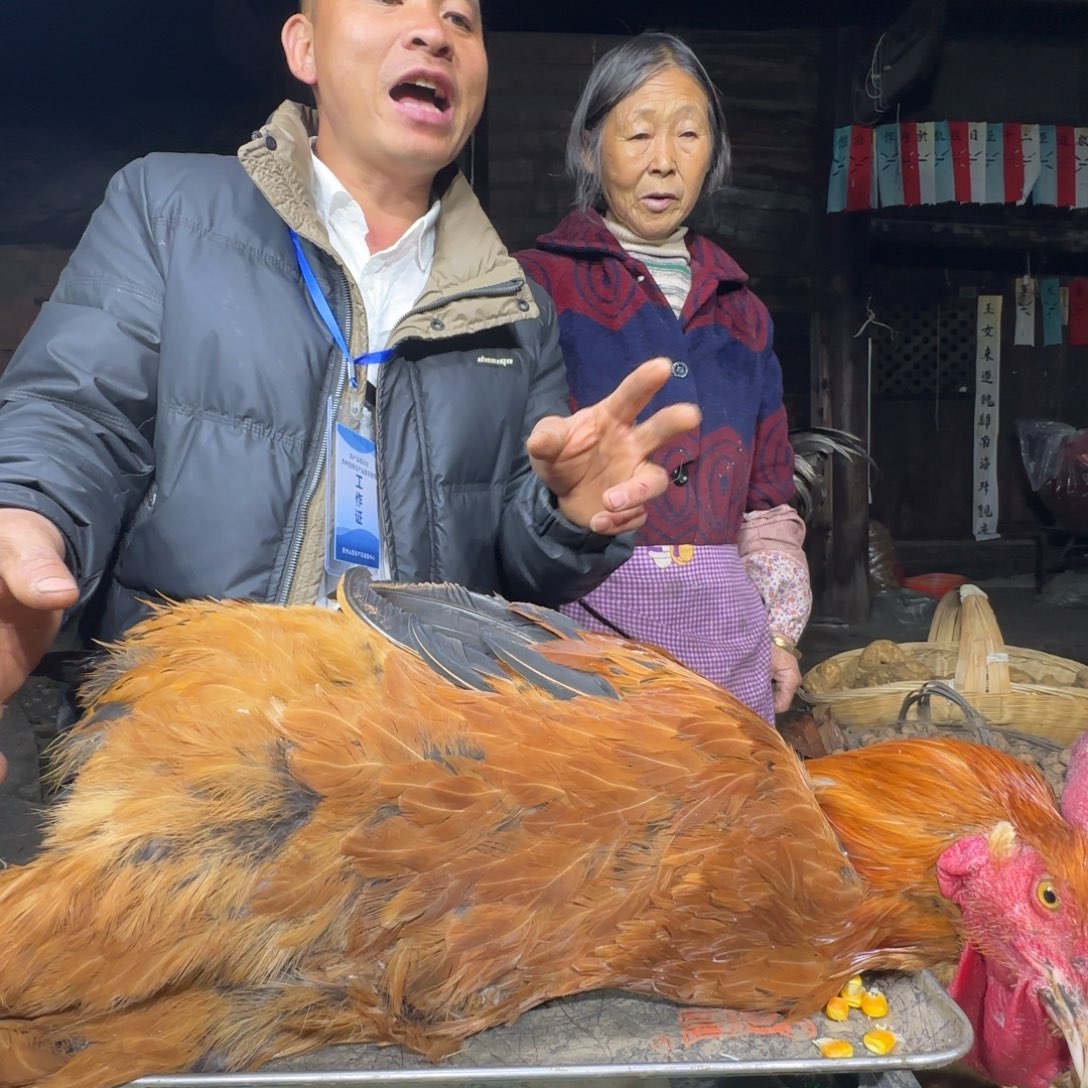 包装中国大陆2616樱桃鸡