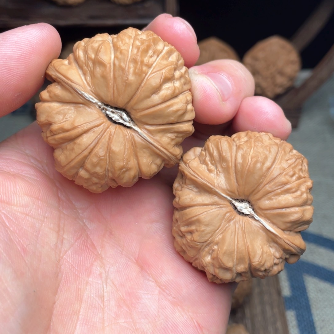 文玩核桃把件白**糖45毕业高货南瓜墩