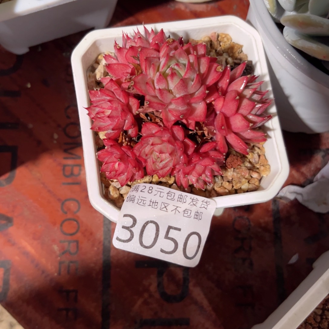 大3050（b c b v b n m