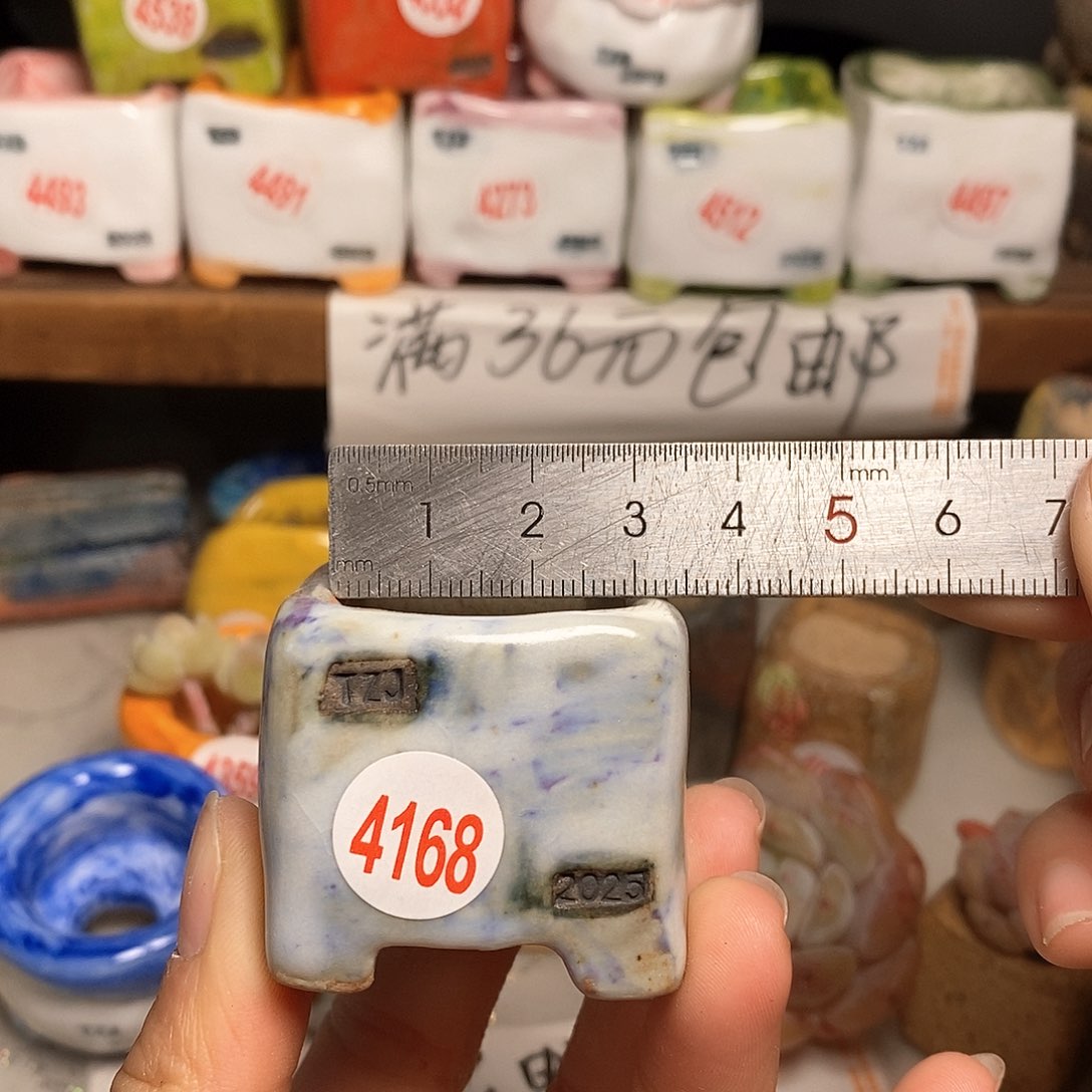 红陶拍5送一个小