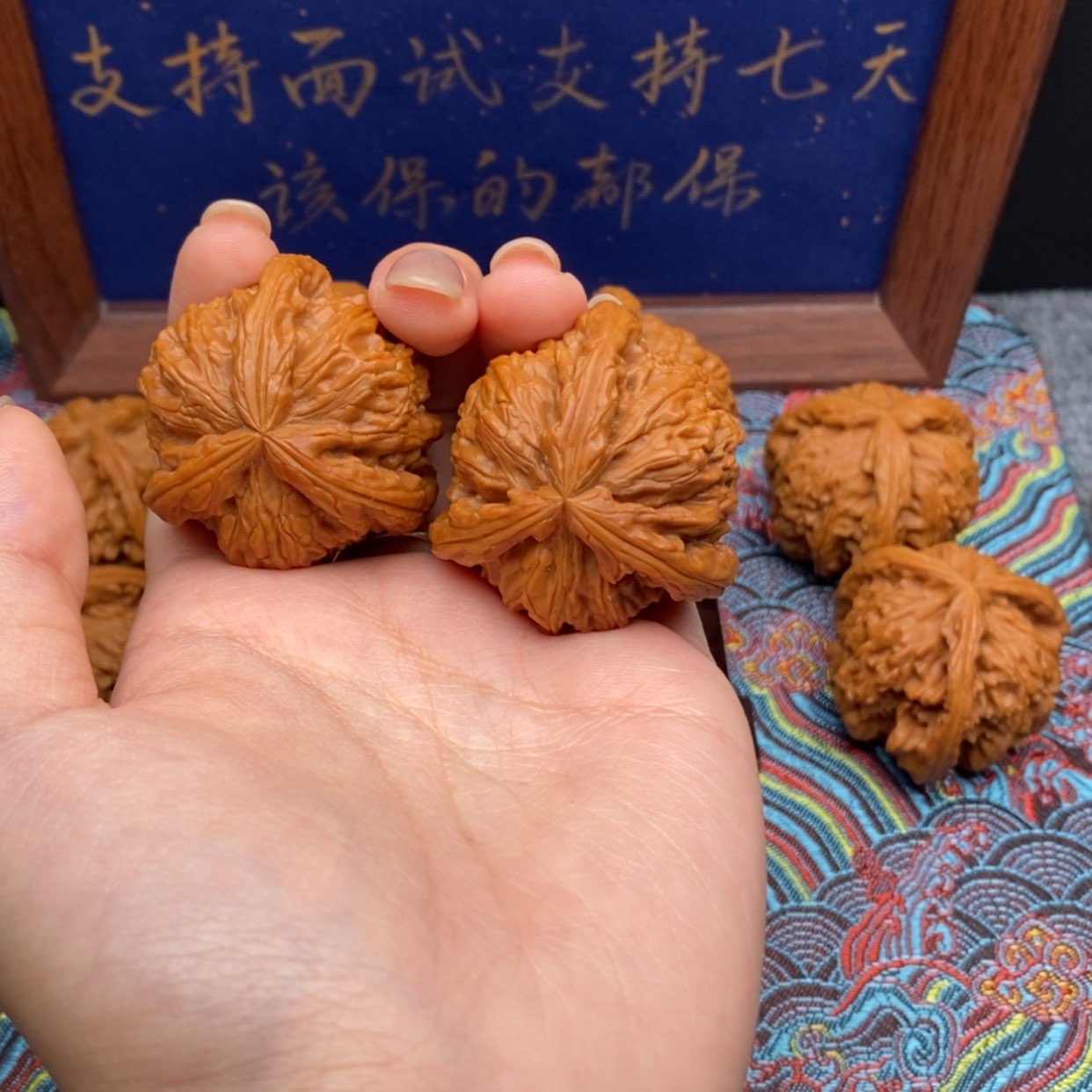 【闪购商品】金**、白狮