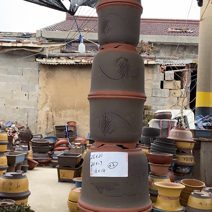 红陶我也不知道为什么我