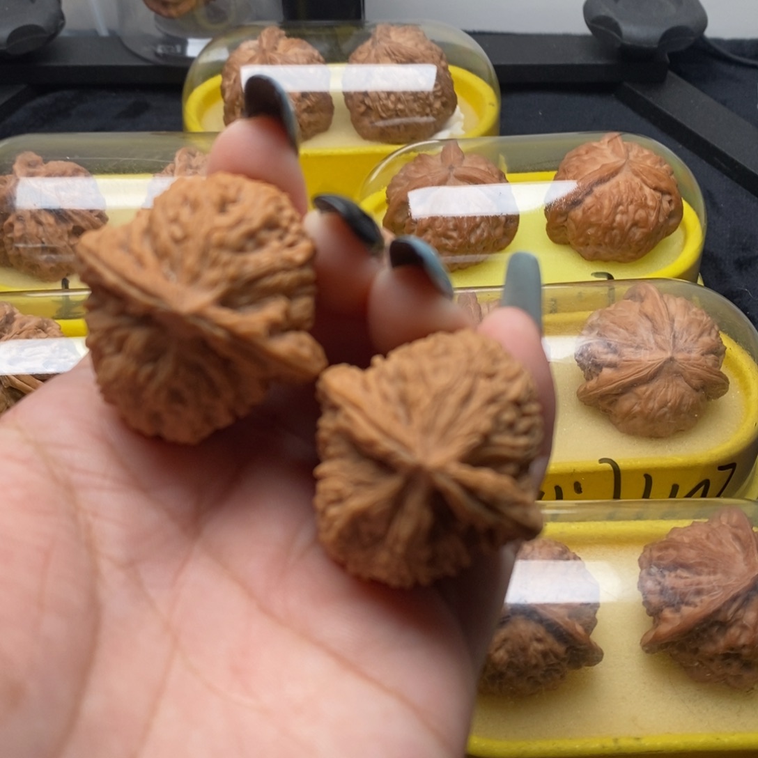 文玩核桃文玩核桃