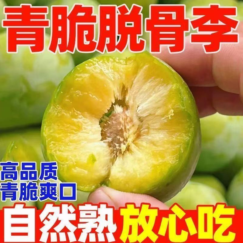 Tz现摘新鲜酸甜可口酸爽脆口脆脱骨李新鲜水果酸爽脆多仓发货