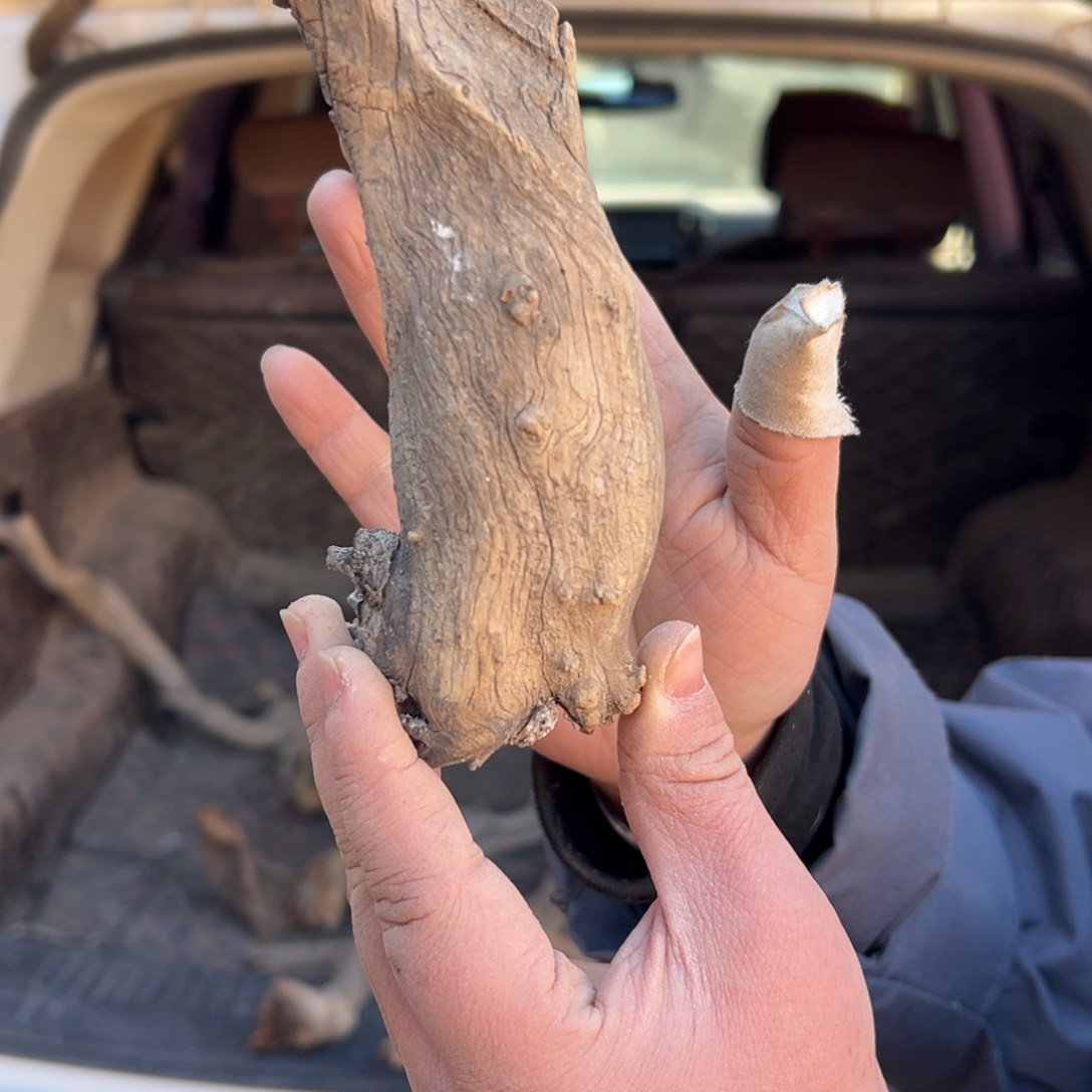 柏木（崖柏）添****店