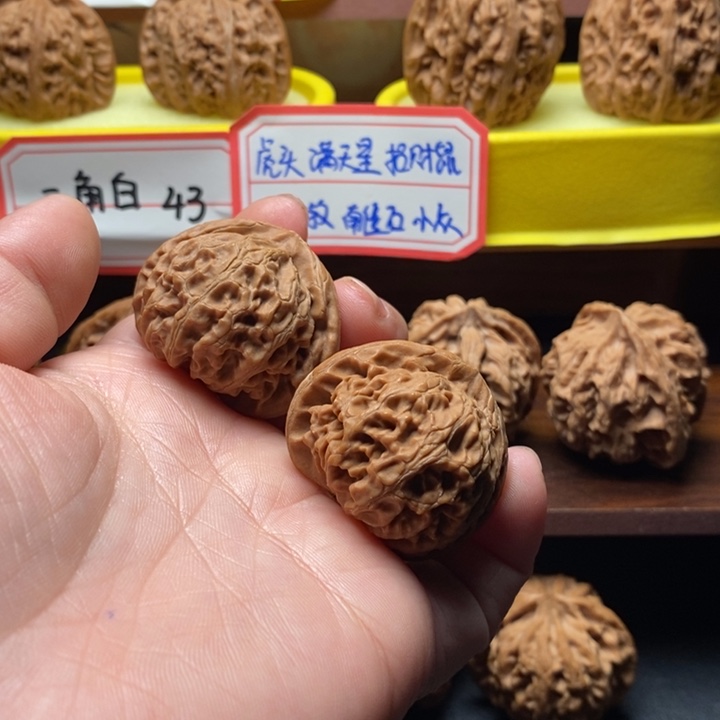 我***蛋全品无修宫灯3811111