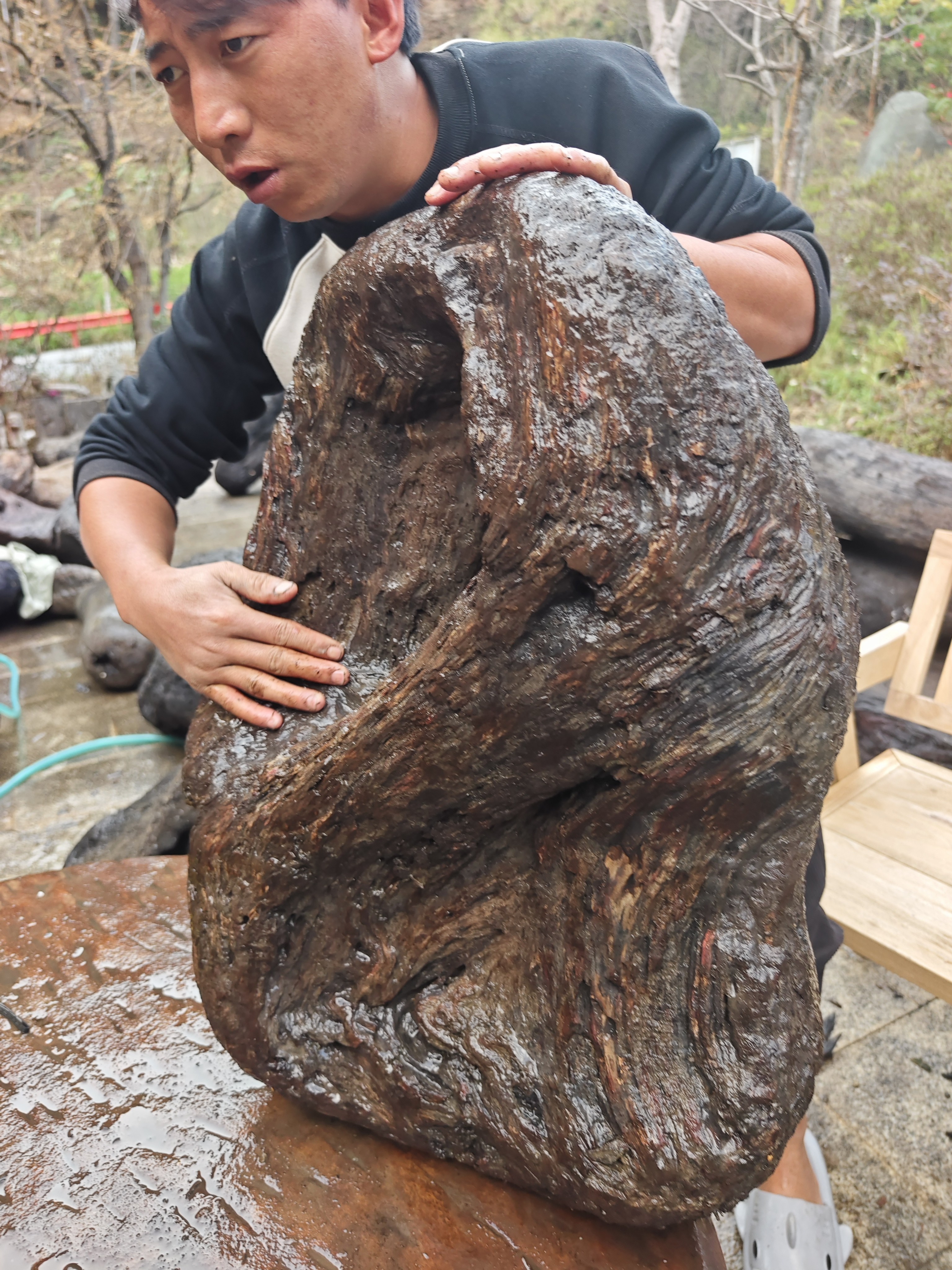民间使用风化木阴沉木不含运