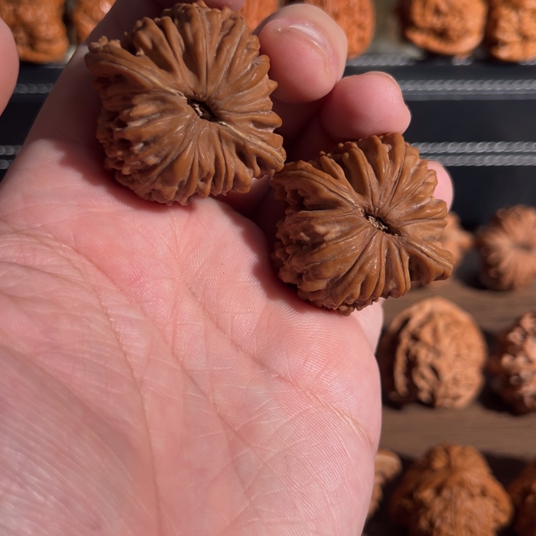 手串/手链核桃如**时40全品汉高楼