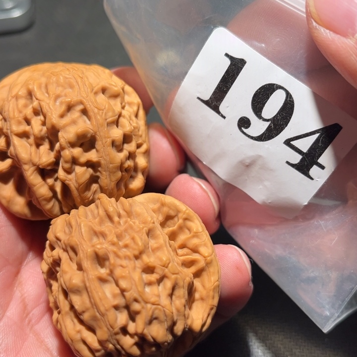 核桃11111111111111111