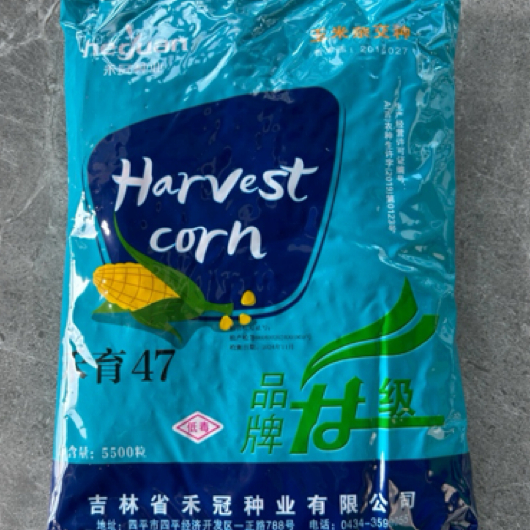 禾育47 玉米杂交种