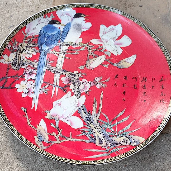 瓷片我也好可爱的啊哈啊