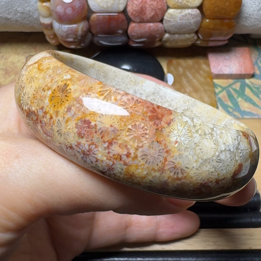 硅化玉58.5闹中取静，1镯两戴未镶嵌