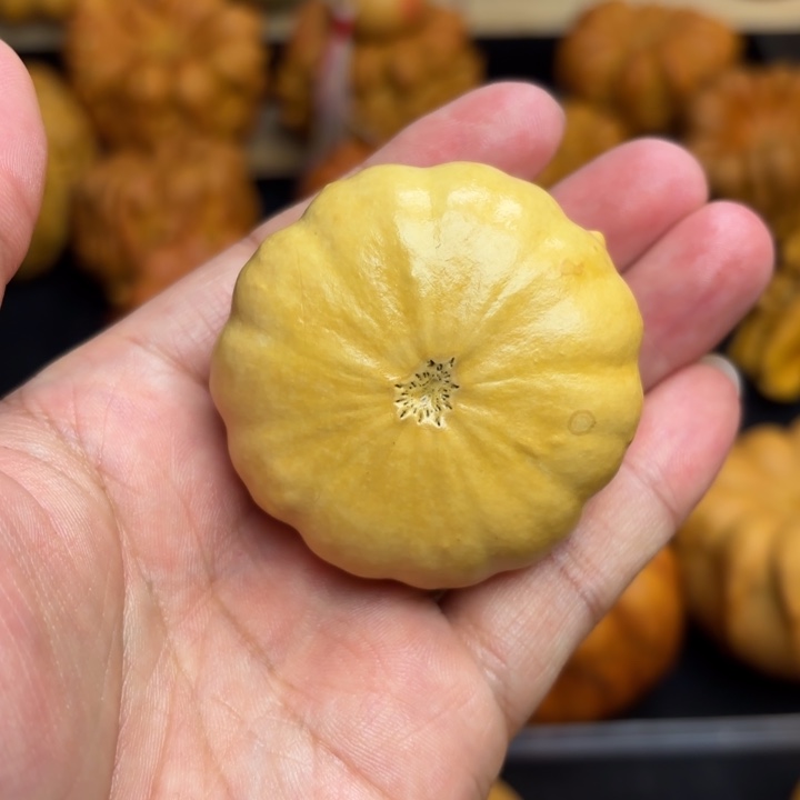 福禄福禄福禄来喽