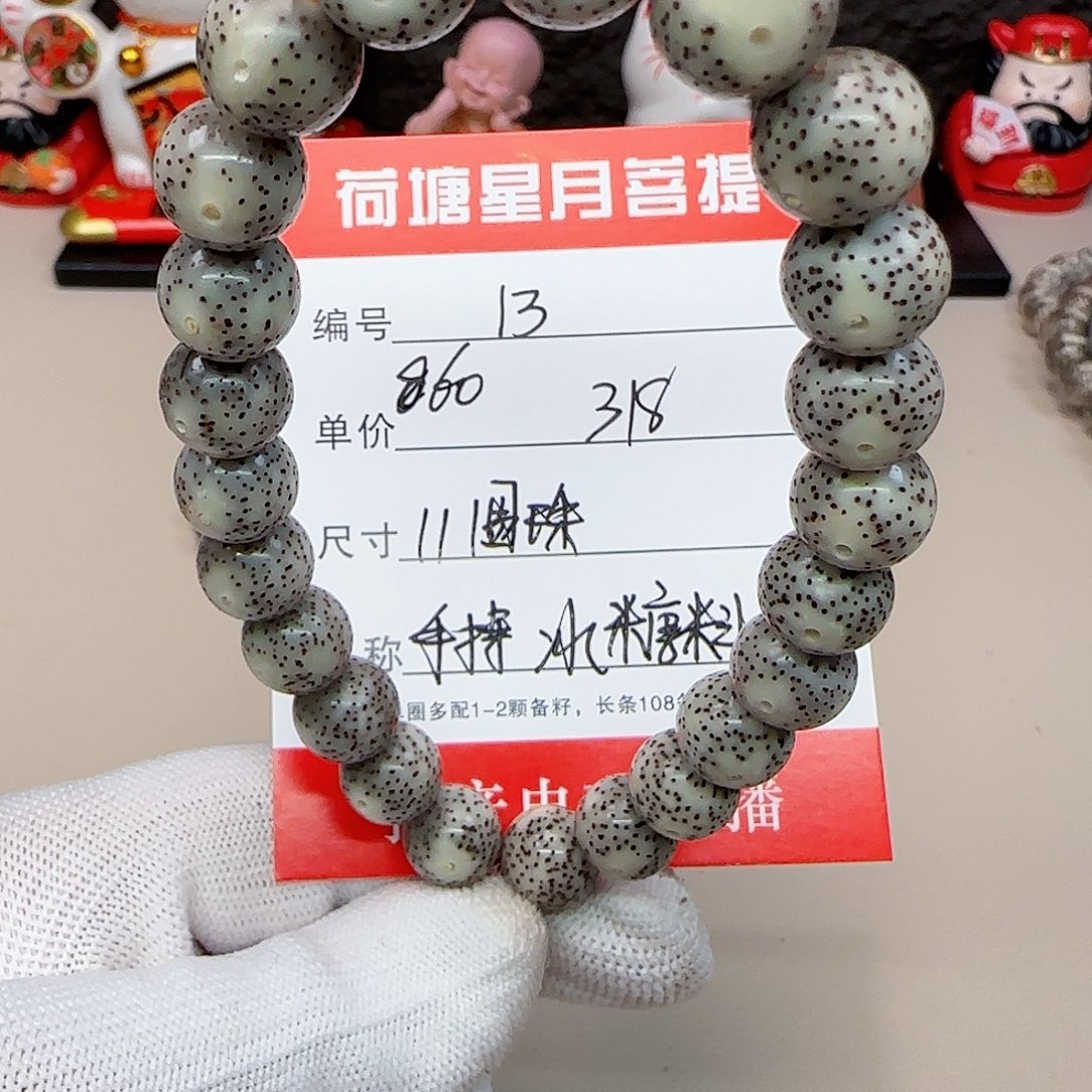 海南荷塘星月菩提13