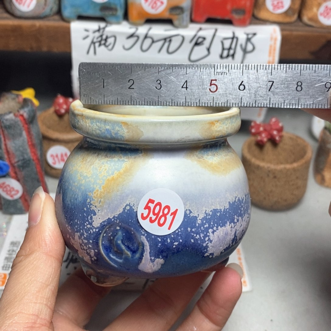 红陶拍5送一个小