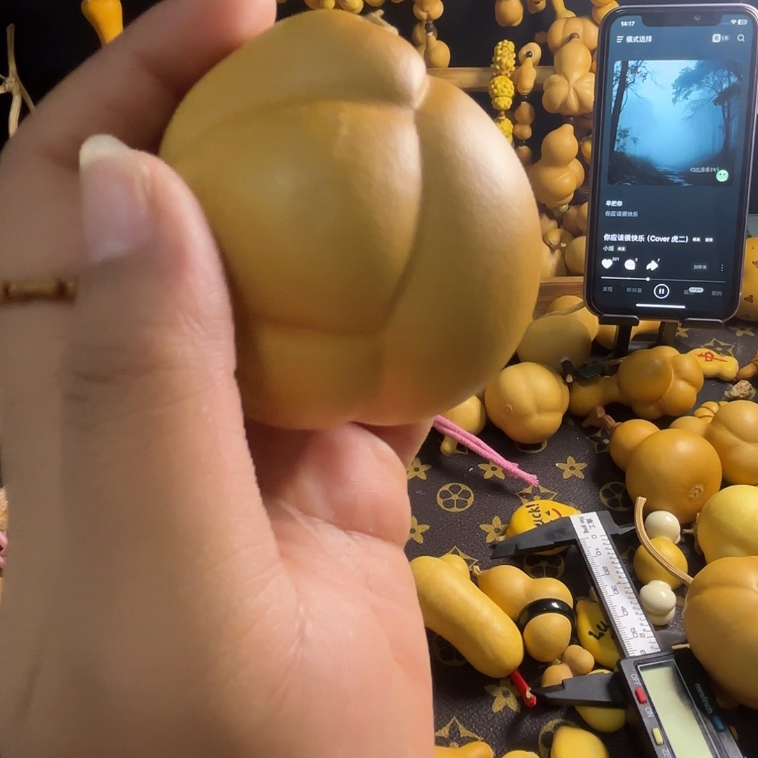 北***猫不行的啊怎么这么快又被打上新来