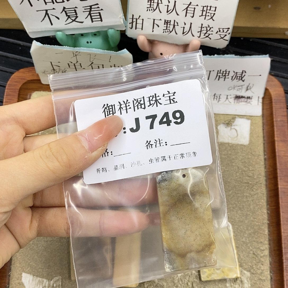 硅化珊瑚（珊瑚玉）未镶嵌颈饰卡*法
