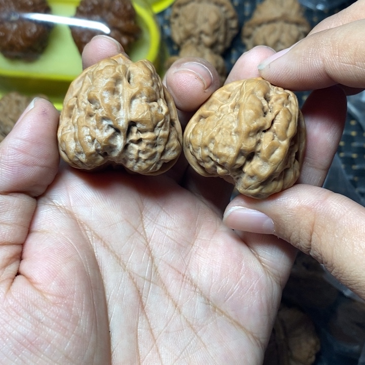 文玩核桃把件蛤蟆36