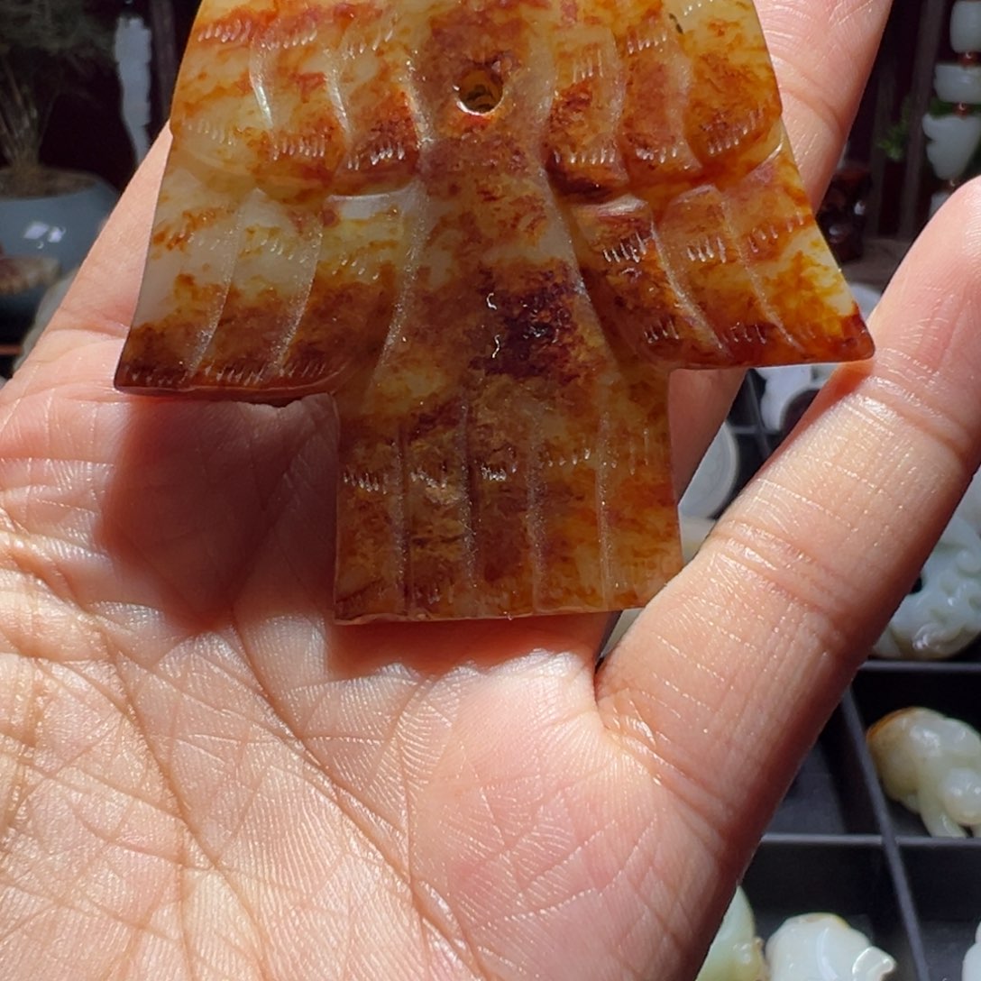 缸一物一图 所见所得