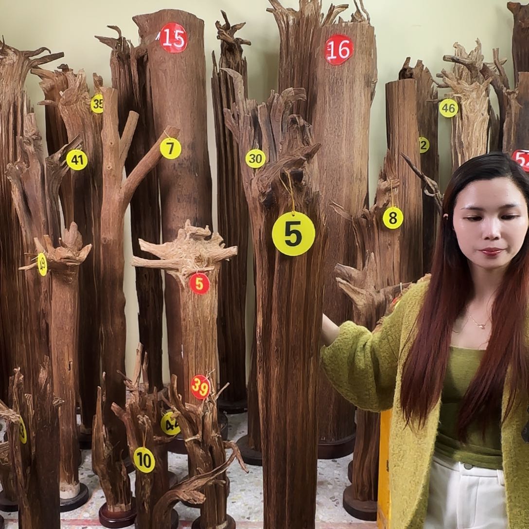 沉香沉香碎屑飞*天然沉香原材料香料熏料